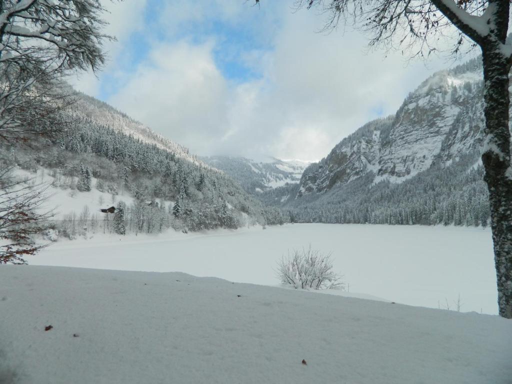 Logis Hotel Les Sapins Montriond Exteriör bild